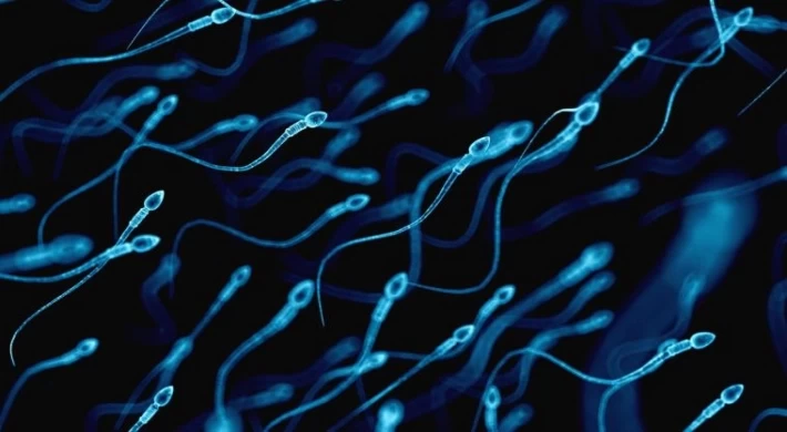 Vücudumuza karışan kimyasallar erkeklerde sperm kalitesini düşürüyor mu?
