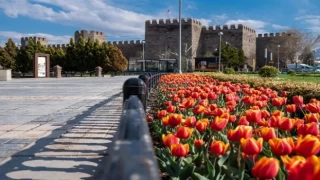 Büyükşehir, Kayseri’yi çiçek bahçesine dönüştürüyor, 1 milyon çiçeği toprakla buluşturuyor